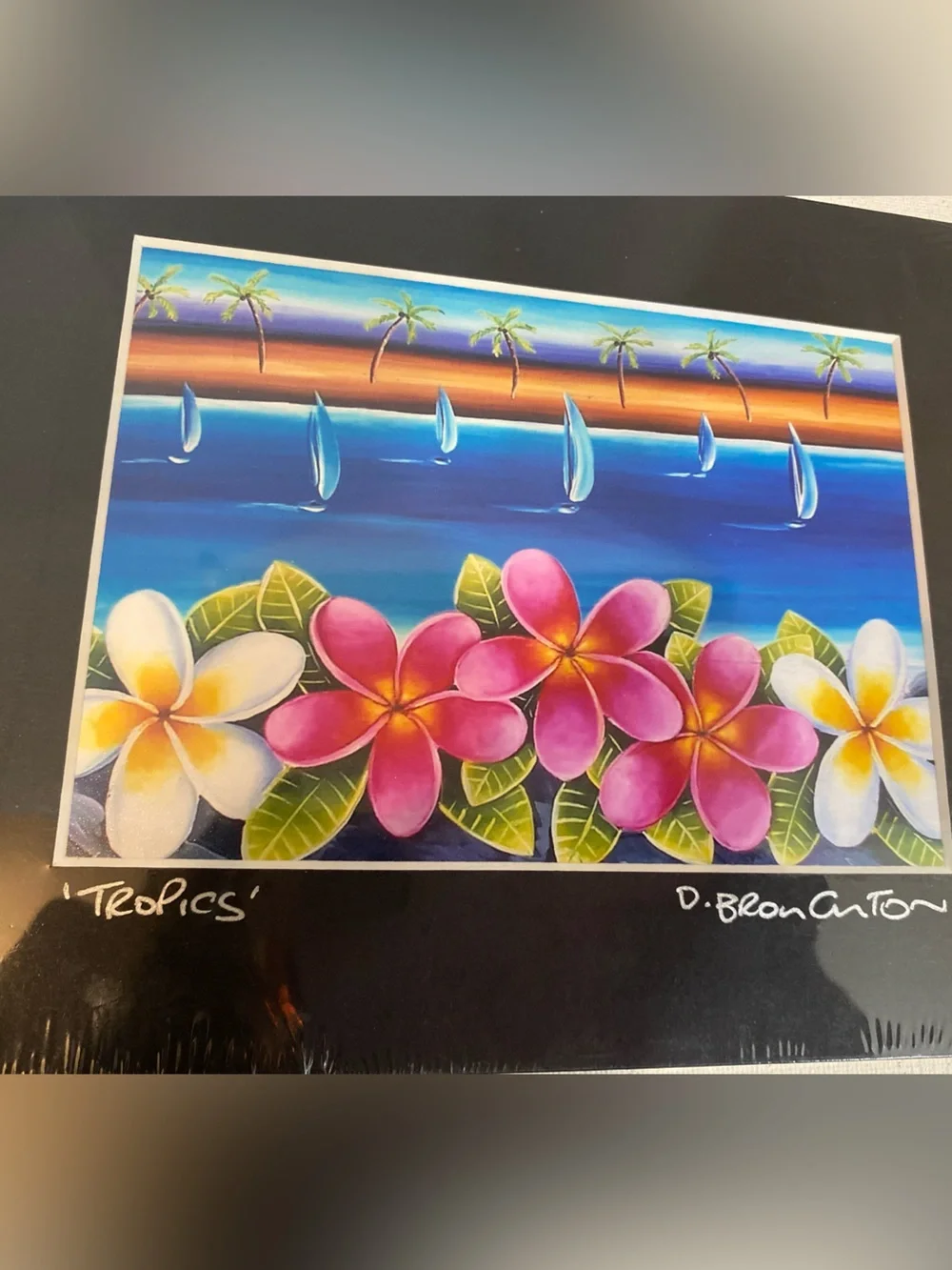 Tropical Plumeria Art Print by D. Beancoton - Pink, White, Yellow